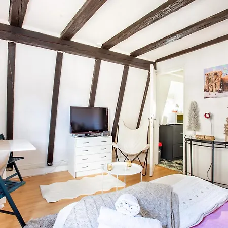 公寓 Au Coeur De La Petite Venise - 科尔马