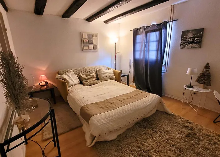 Lägenhet Au Coeur De La Petite Venise - *