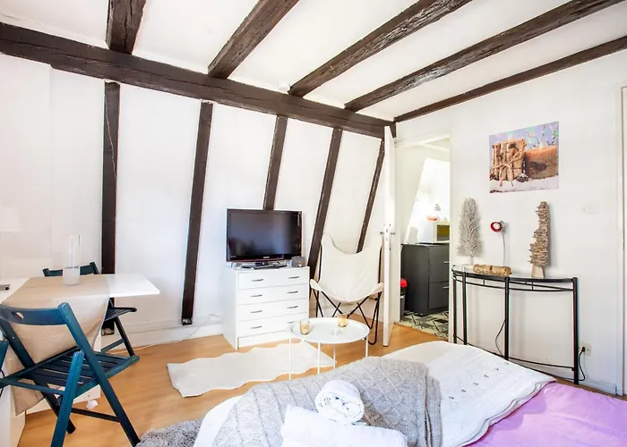 Apartamento Au Coeur De La Petite Venise - Colmar