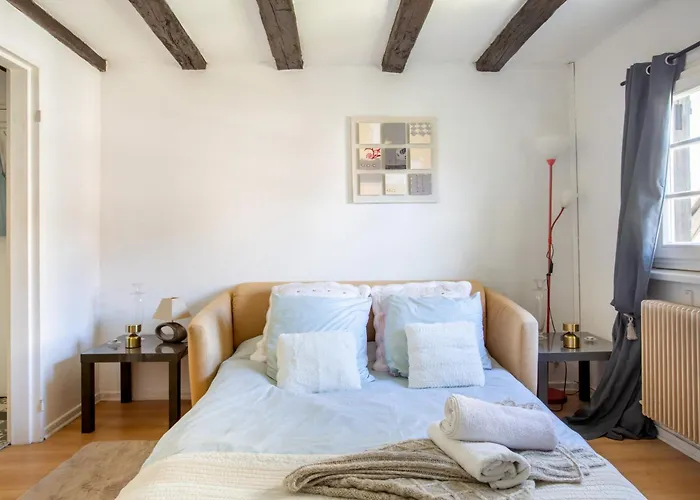 Apartamento Au Coeur De La Petite Venise - Colmar